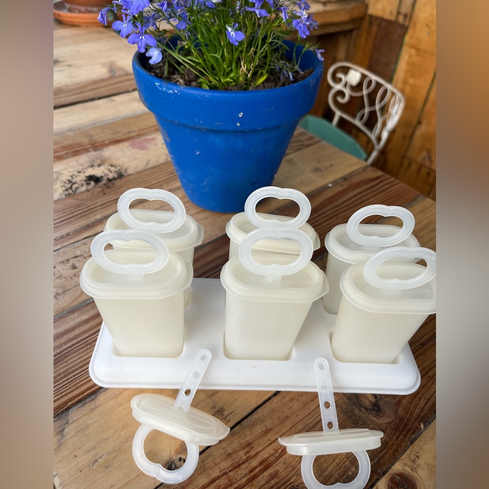 Vintage Tupperware popsicle mold with tray